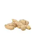 Ginger - ada