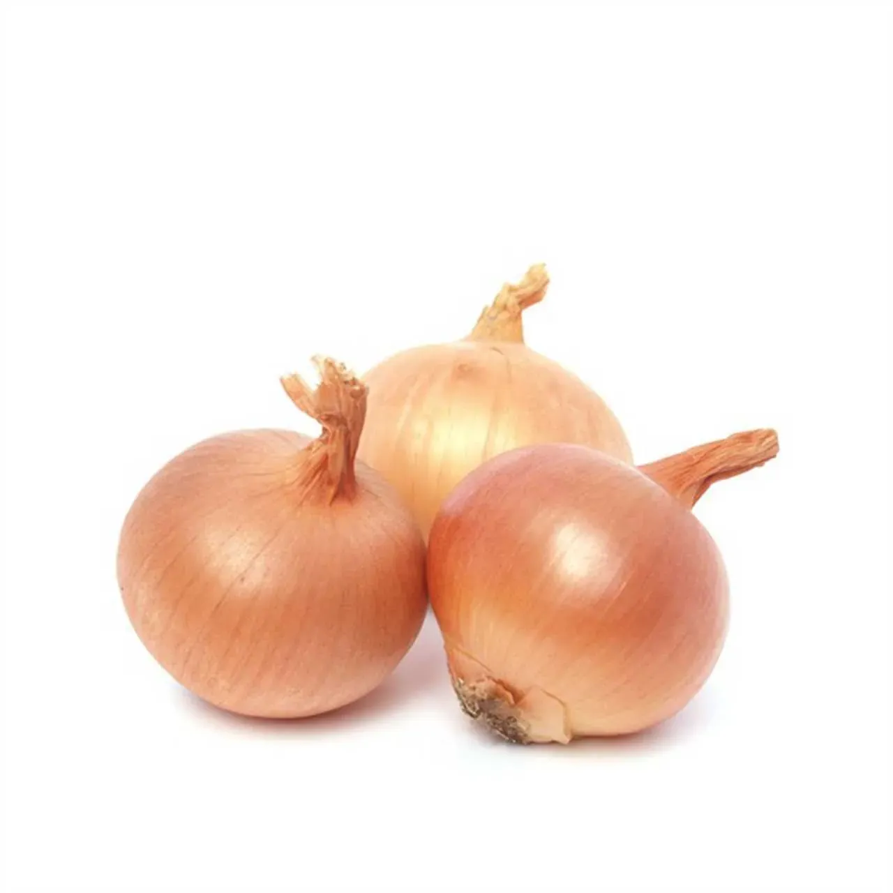 Onions - piyaj